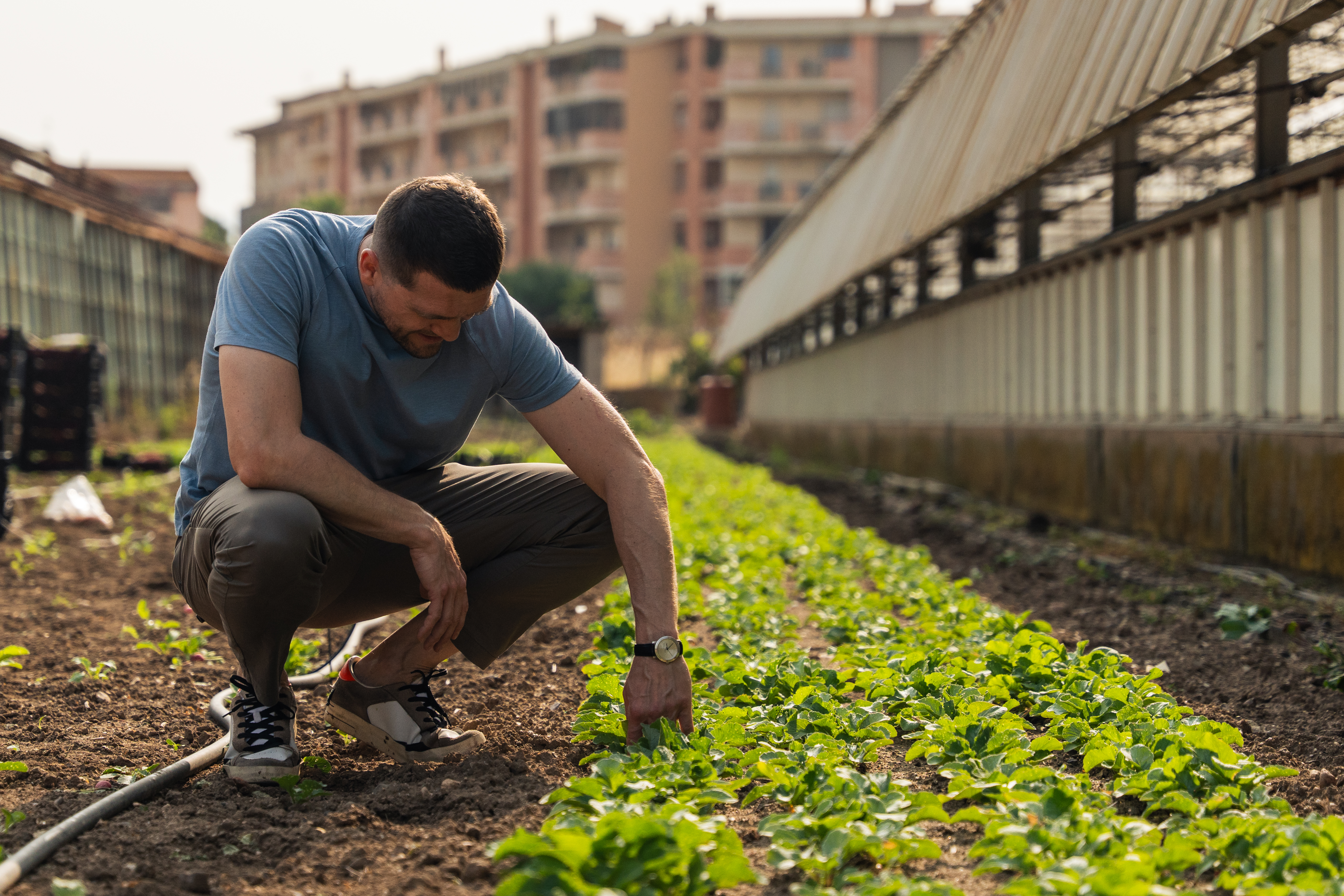 Ritratto Chef Tommaso Sanguedolce
