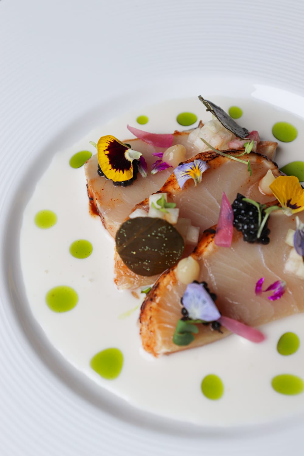 Materia - Tommaso Sanguedolce