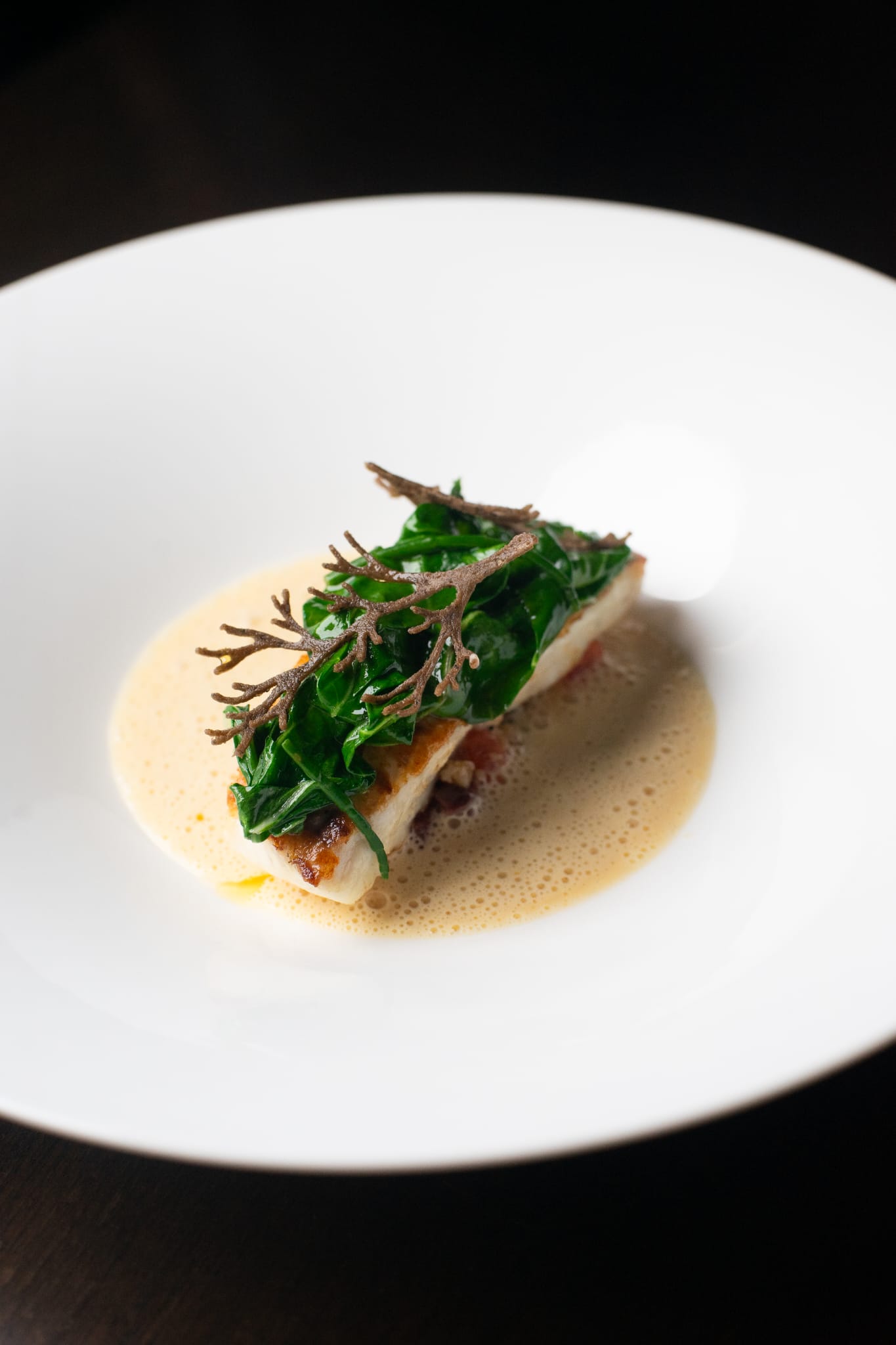 Materia - Tommaso Sanguedolce